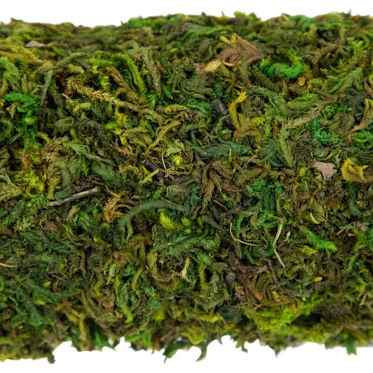 14" Green Reindeer Moss Square Spring Wreath